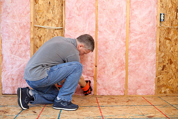 Best Local Insulation Services  in Roaming Shores, OH